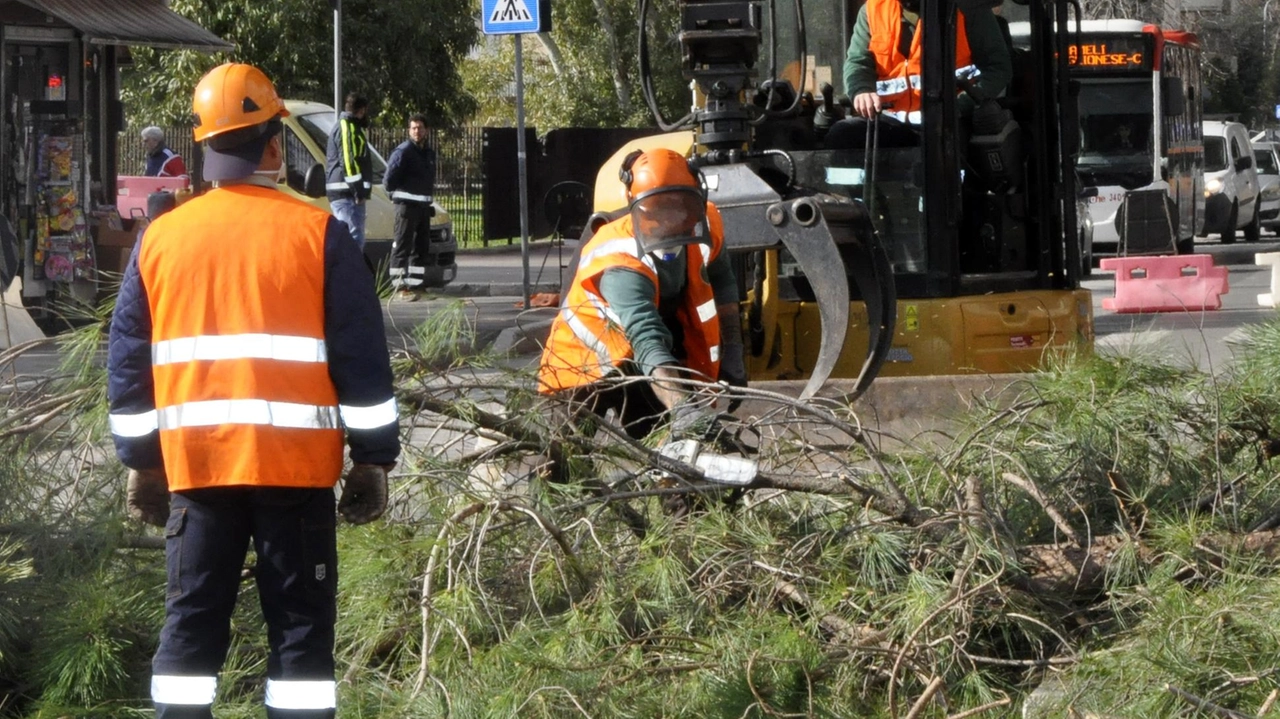 L’associazione "Grosseto al Centro" aveva chiesto che fosse annullata l’ordinanza urgente del Comune e anche un risarcimento di 20mila euro . L’associazione "Grosseto al Centro" aveva chiesto che fosse annullata l’ordinanza urgente del Comune e anche un risarcimento di 20mila euro .