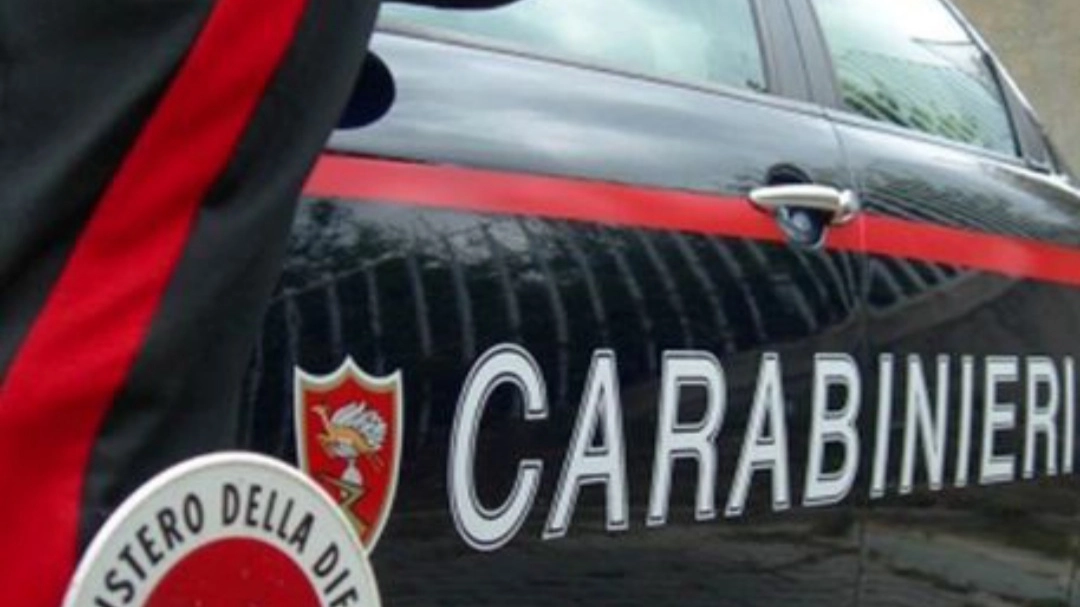 Carabinieri (immagine di repertorio) Carabinieri (immagine di repertorio)
