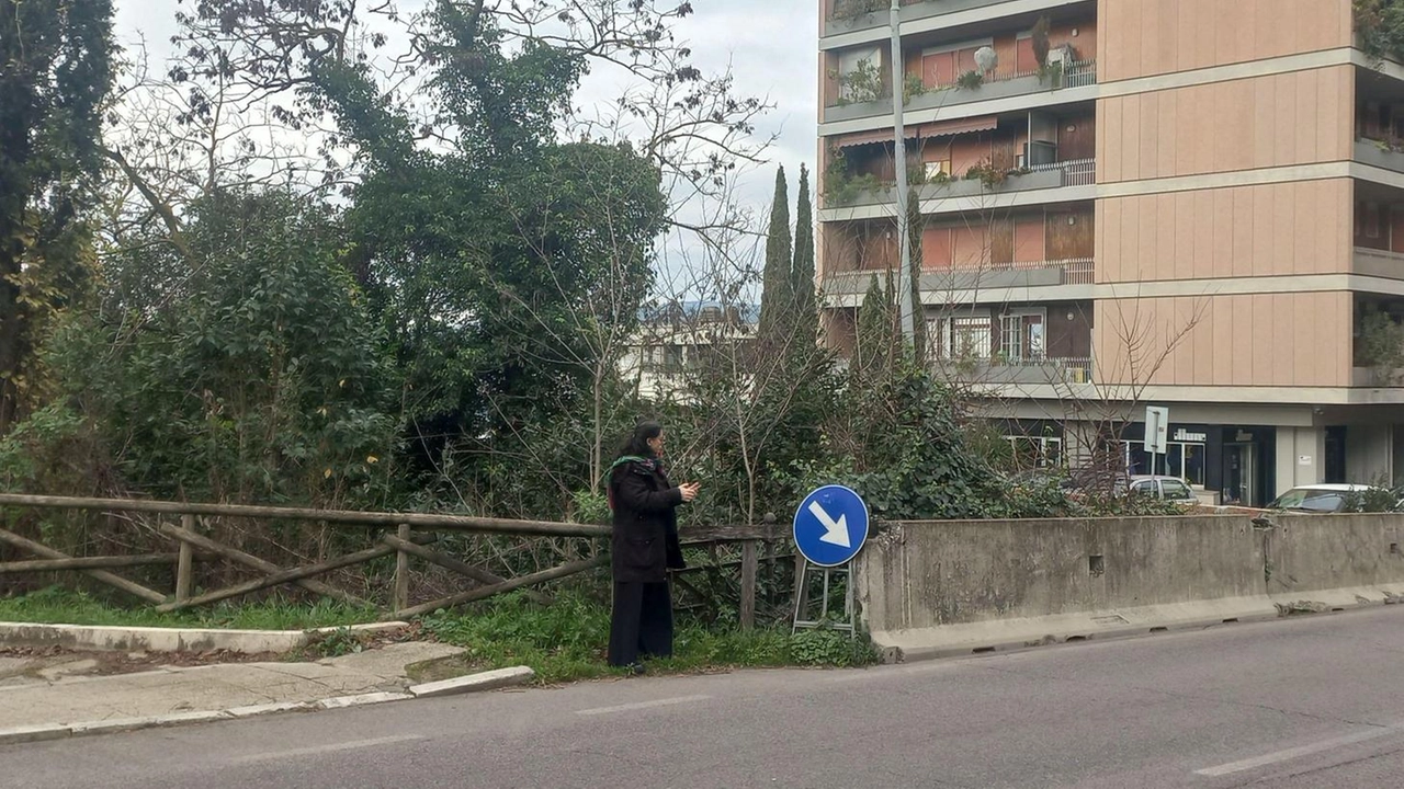 Una città “inclusiva“, come spesso viene definita Perugia, fa pensare a mani pronte a tendersi, opportunità per tutti,... Una città “inclusiva“, come spesso viene definita Perugia, fa pensare a mani pronte a tendersi, opportunità per tutti,...