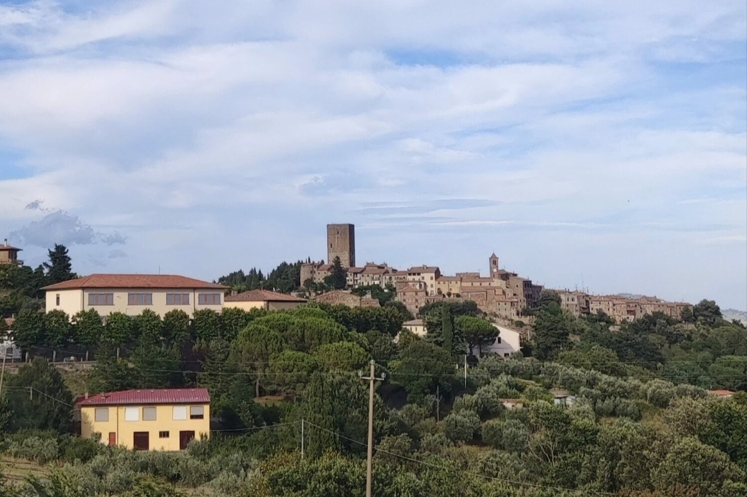 immagine di sfondo 3