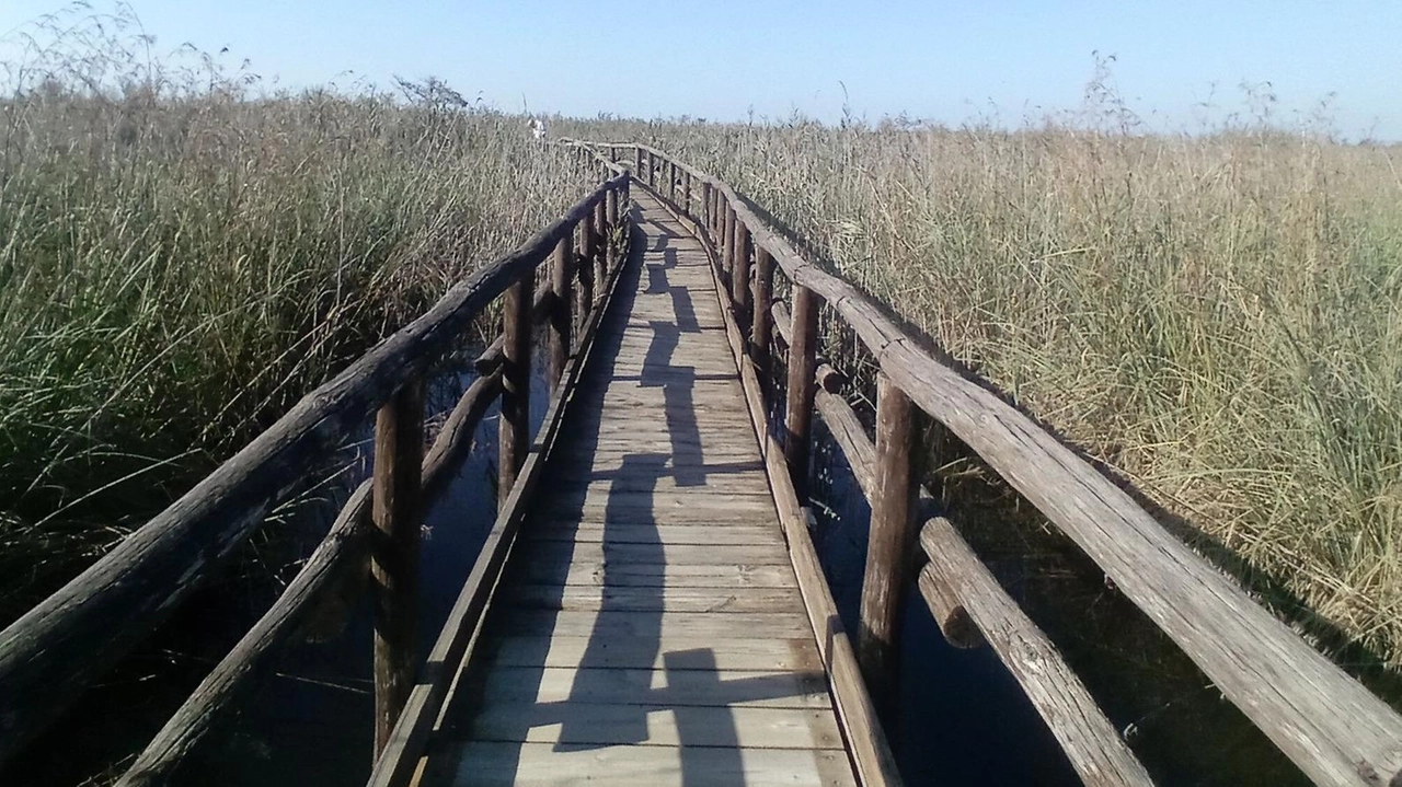 Al via le passeggiate alla Riserva Naturale del Chiarone organizzate dalle guide esperte della Lipu Al via le passeggiate alla Riserva Naturale del Chiarone organizzate dalle guide esperte della Lipu