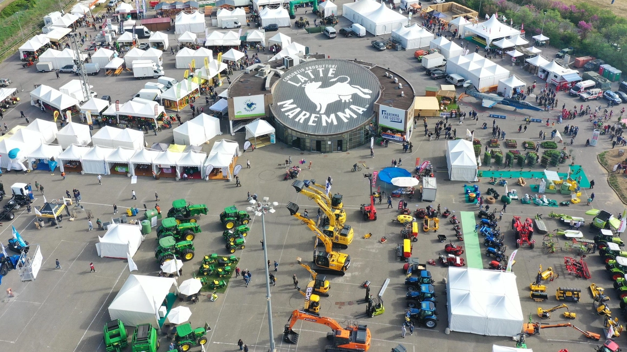 Tutto pronto per la quarantacinquesima edizione della Fiera del Madonnino, che si svolgerà a Braccagni:. quest’anno si aggiunge anche ToscOleum
