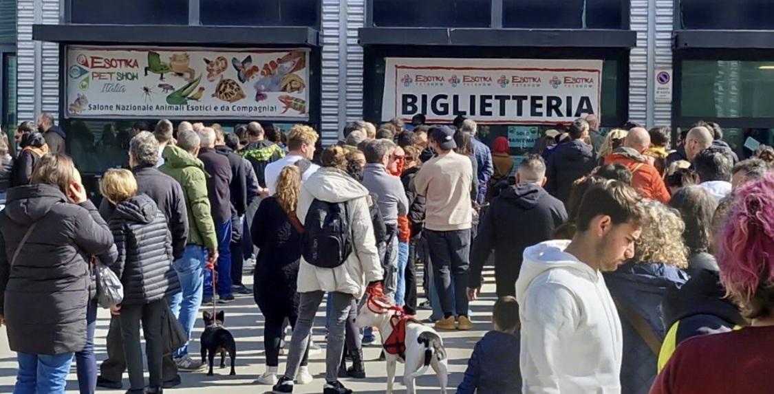 Esotika: ancora una grande festa per le famiglie aretine Esotika: ancora una grande festa per le famiglie aretine