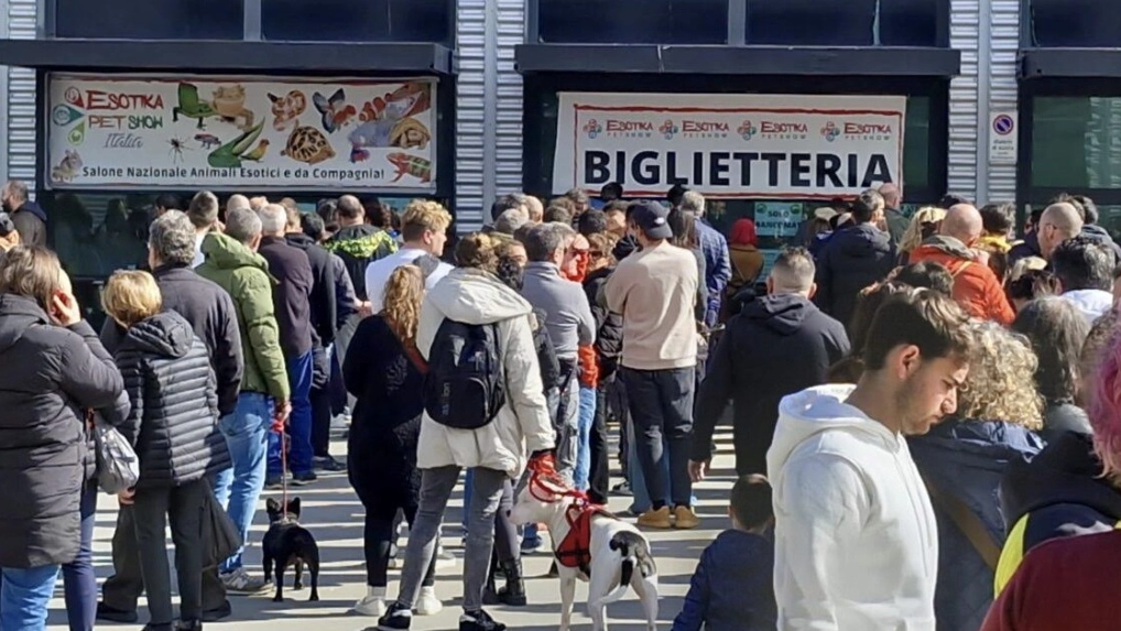 File alla biglietteria di Esotika
