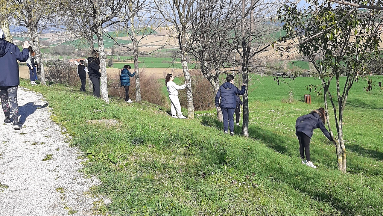 Un progetto per studenti dedicato alla botanica (foto di repertorio)