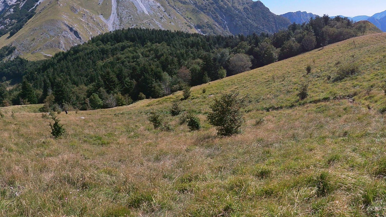 Recuperato un escursionista di cui la famiglia aveva perso le tracce. Ma era semplicemente a dormire nel rifugio. Alle ...