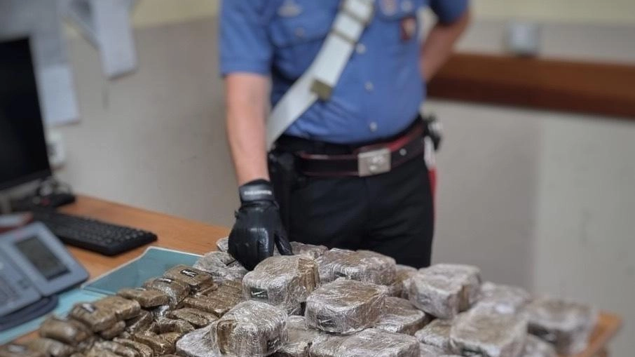 Un sequestro di droga in una immagine di archivio Un sequestro di droga in una immagine di archivio