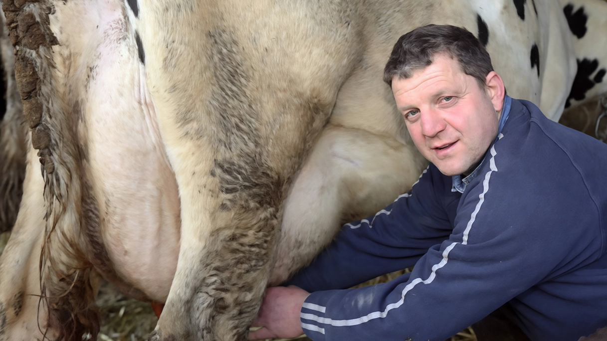 "La crisi del latte nel Mugello affonda in decenni di disinteresse verso il territorio, di assenza di una politica industriale,... "La crisi del latte nel Mugello affonda in decenni di disinteresse verso il territorio, di assenza di una politica industriale,...