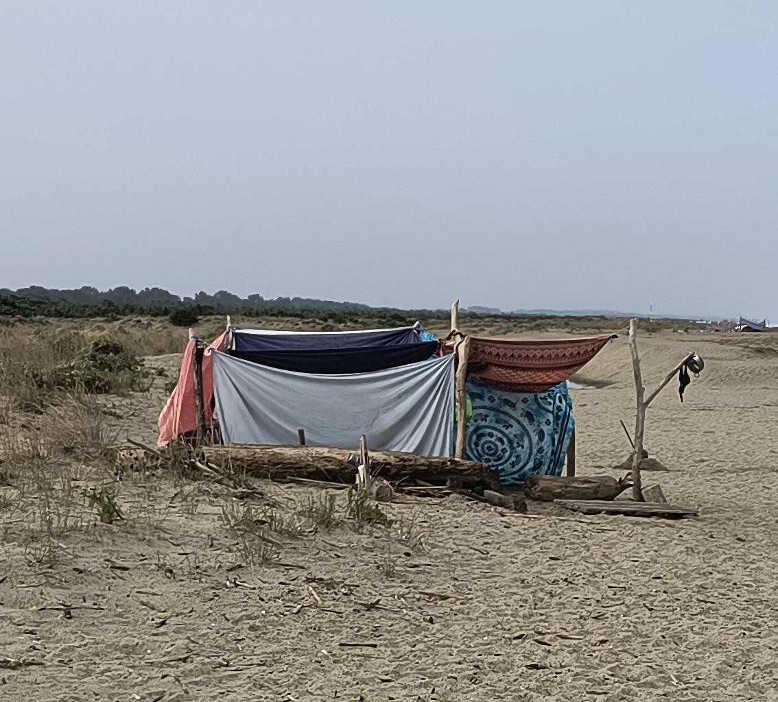 Camping abusivo alla Lecciona: multe e sequestri Camping abusivo alla Lecciona: multe e sequestri