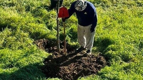 Il Consorzio di bonifica sta predisponendo la gara d’appalto per individuare la ditta che fornirà piante e arbusti da collocare nei territori di sua competenza Il Consorzio di bonifica sta predisponendo la gara d’appalto per individuare la ditta che fornirà piante e arbusti da collocare nei territori di sua competenza