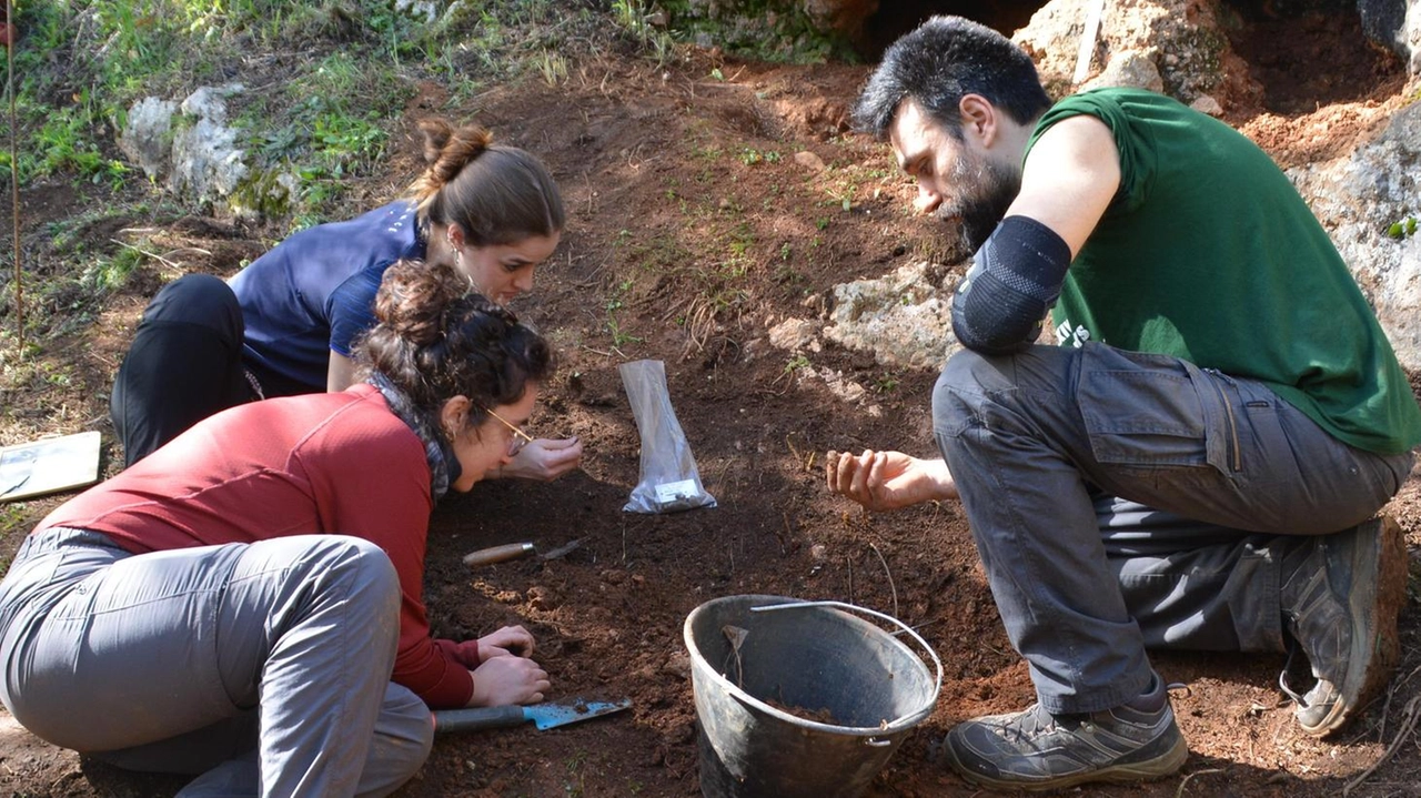 Il team di ArcheoVersilia impegnato negli scavi alla «Tana del lupo» scoperta nel territorio di Valdicastello insieme a reperti risalenti al Paleolitico Il team di ArcheoVersilia impegnato negli scavi alla «Tana del lupo» scoperta nel territorio di Valdicastello insieme a reperti risalenti al Paleolitico