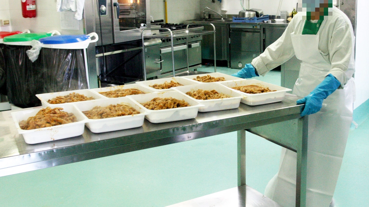 Sarebbe stato un farro con pesto e pomodorini servito il 24 settembre ad aver scatenato l'intossicazione da salmonella tra gli alunni di alcune scuole della provincia di Firenze (foto di repertorio)