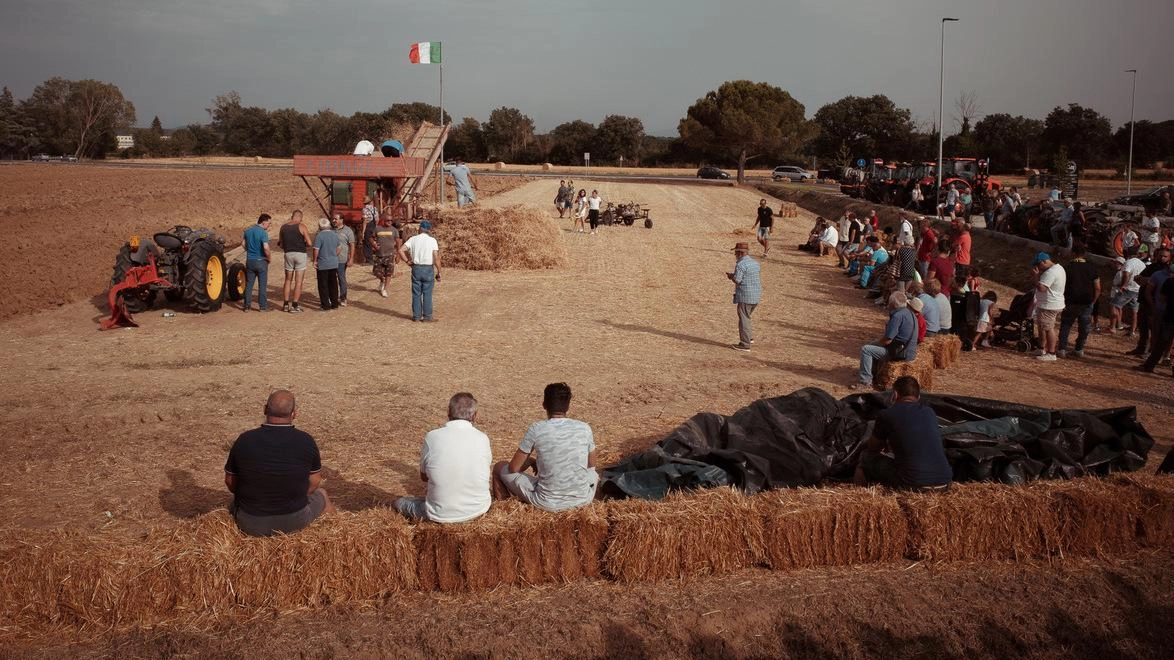 Domenica la ricostruzione storica dell’evento che legava l’intera comunità. Dimostrazioni con gli antichi strumenti, poi musica e racconti fino a notte. Domenica la ricostruzione storica dell’evento che legava l’intera comunità. Dimostrazioni con gli antichi strumenti, poi musica e racconti fino a notte.