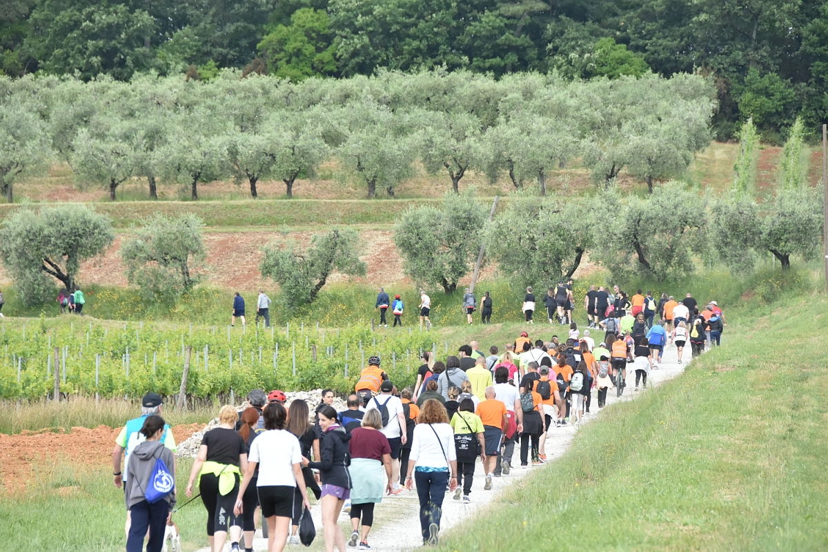 immagine di sfondo 17
