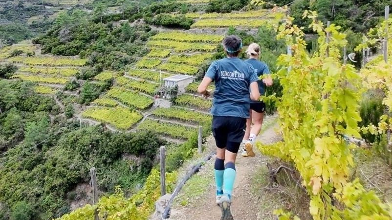 Gli atleti impegnati in una recente edizione di SciaccheTrail, fra i vigneti delle Cinque Terre. Confermata la gara sulla distanza dei 100 chilometri Gli atleti impegnati in una recente edizione di SciaccheTrail, fra i vigneti delle Cinque Terre. Confermata la gara sulla distanza dei 100 chilometri