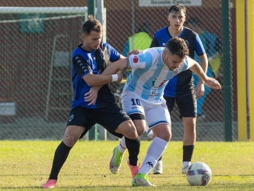 immagine articolo