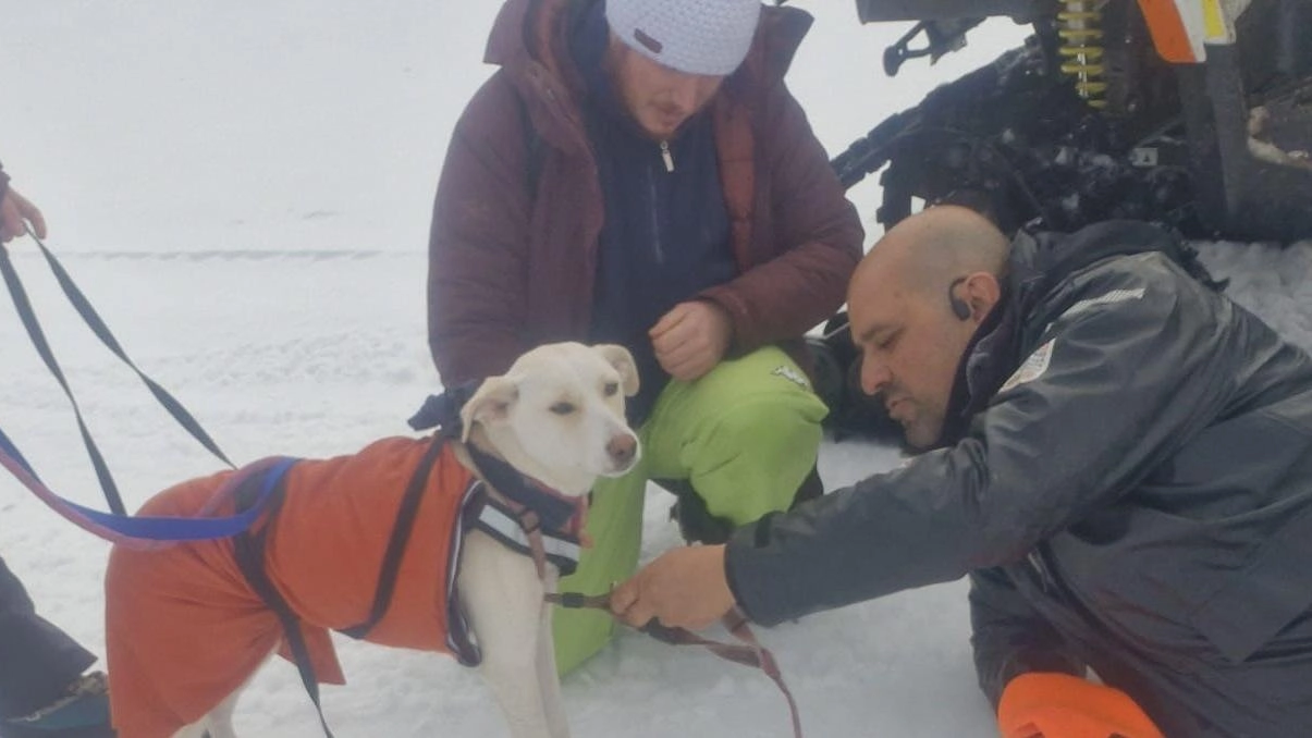 Uno dei momenti in cui la cagnolina Kate è stata tratta in salvo dai soccorritori Uno dei momenti in cui la cagnolina Kate è stata tratta in salvo dai soccorritori