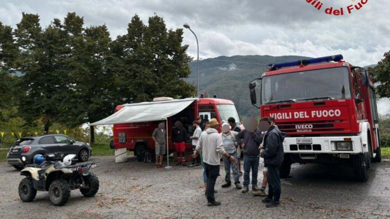 Le ricerche della donna scomparsa nei boschi di Medicina