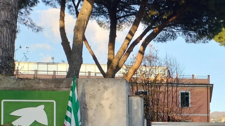 Bandiere al cancello delle Rsa Casa Ascoli e Pelù ora in stato di agitazione Bandiere al cancello delle Rsa Casa Ascoli e Pelù ora in stato di agitazione