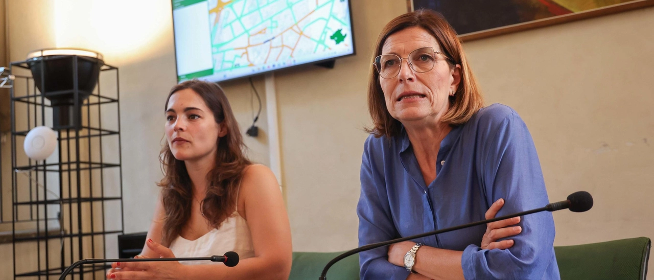 La città a portata di click. Online la mappa del verde: "Segnala le isole di calore"