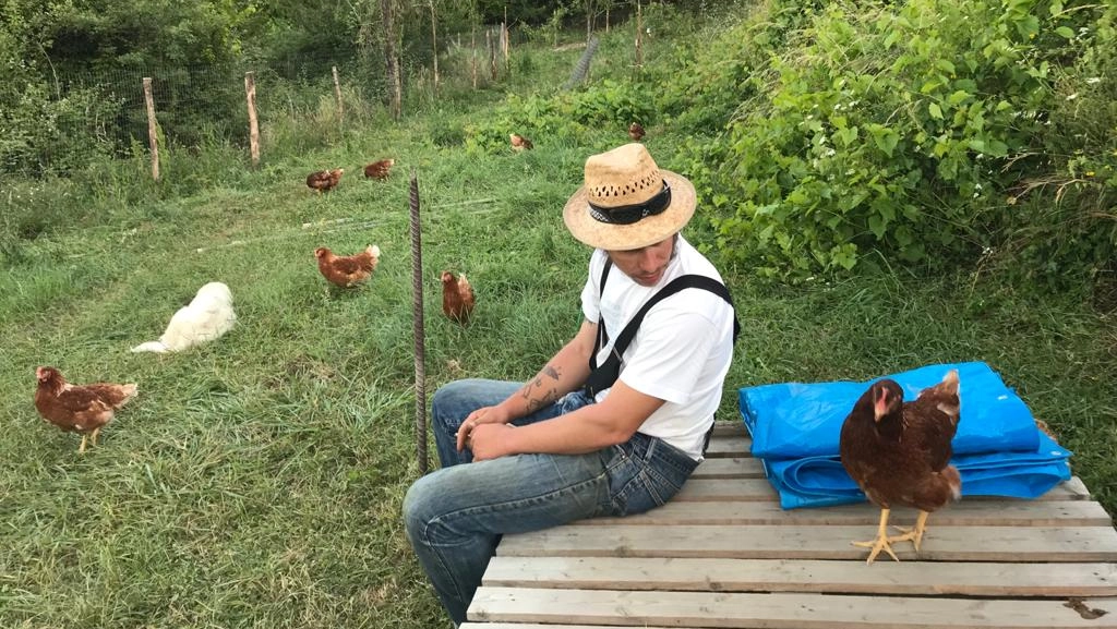 Fabio Basini con le sue galline e uno dei quattro fedeli cani maremmani Fabio Basini con le sue galline e uno dei quattro fedeli cani maremmani