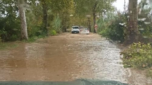 Gravi problemi a San Vincenzo e Donoratico: alberi crollati, un campeggio evacuato, scuole chiuse Gravi problemi a San Vincenzo e Donoratico: alberi crollati, un campeggio evacuato, scuole chiuse