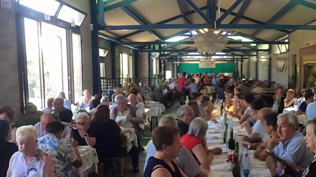 Sagre e feste paesane in tutto il territotorio tra cocomero e rane. Sagre e feste paesane in tutto il territotorio tra cocomero e rane.