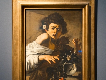 immagine articolo