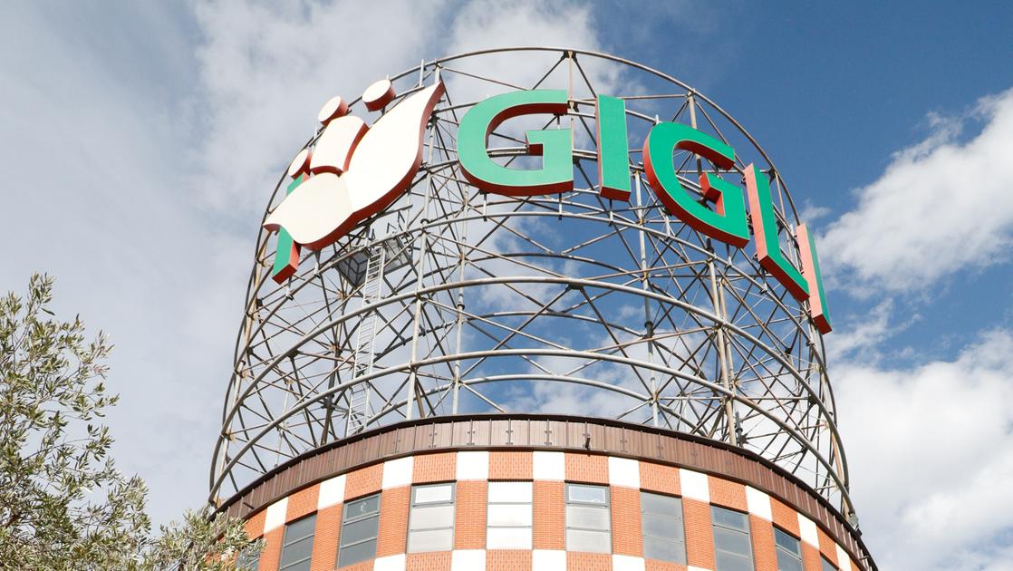 La svolta dei Gigli, rivoluzione sugli orari di chiusura. Ma Ferragosto rimane un caso La svolta dei Gigli, rivoluzione sugli orari di chiusura. Ma Ferragosto rimane un caso