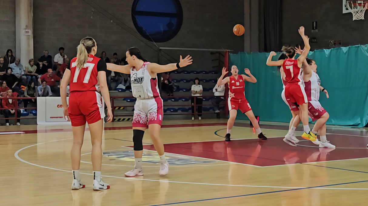 Nicobasket si è confermata «bestia nera» del Green Le Mura anche in gara uno Nicobasket si è confermata «bestia nera» del Green Le Mura anche in gara uno