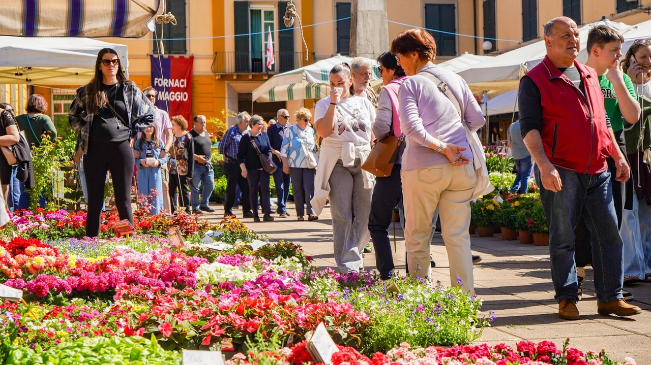 Dopo anni di pioggia, finalmente il sole ed una giornata quasi estiva hanno reso merito ed esaltato la bellezza della... Dopo anni di pioggia, finalmente il sole ed una giornata quasi estiva hanno reso merito ed esaltato la bellezza della...