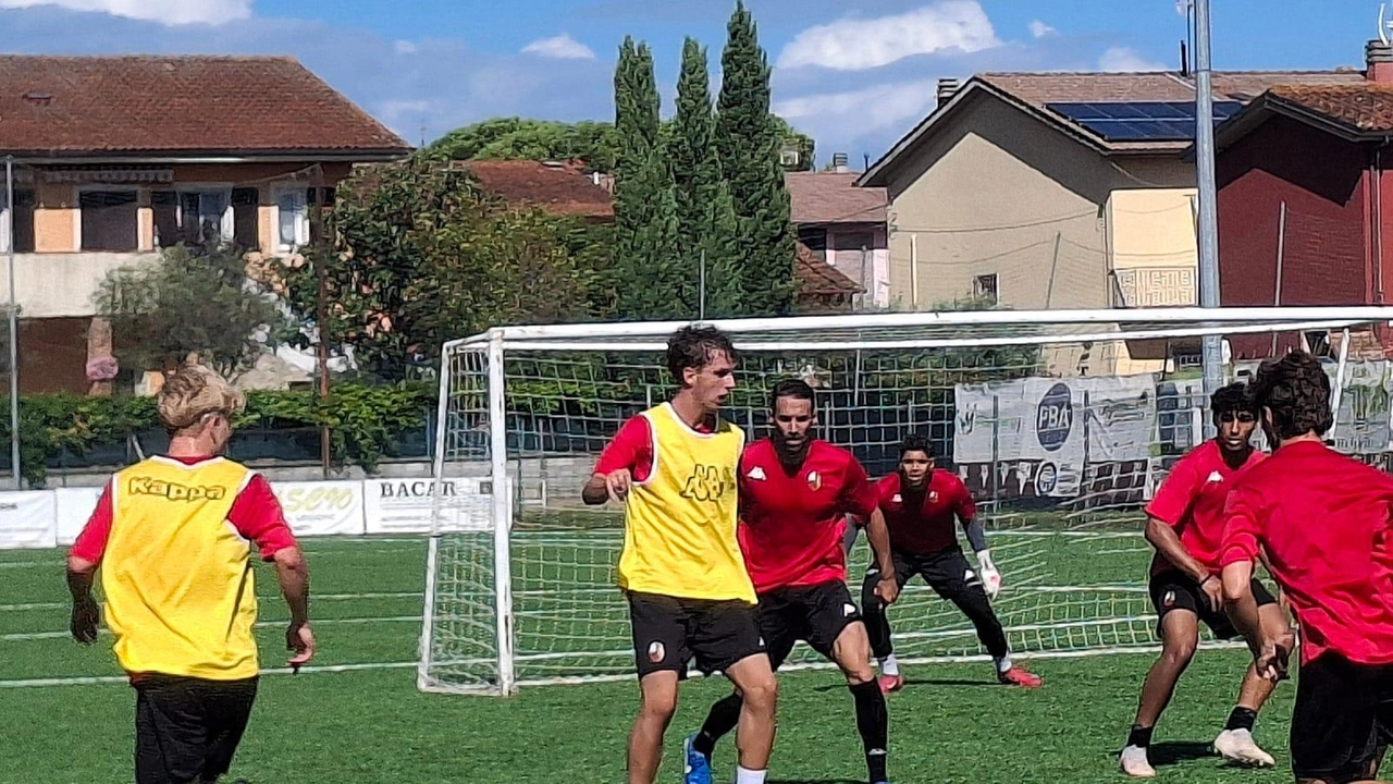 Il diciannovenne Alessio Sansaro è uno degli ultimi acquisti della Lucchese. Centrocampista è cresciuto nell’Atletico Lucca per poi passare all’Empoli e al Pisa Il diciannovenne Alessio Sansaro è uno degli ultimi acquisti della Lucchese. Centrocampista è cresciuto nell’Atletico Lucca per poi passare all’Empoli e al Pisa