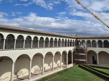 immagine articolo