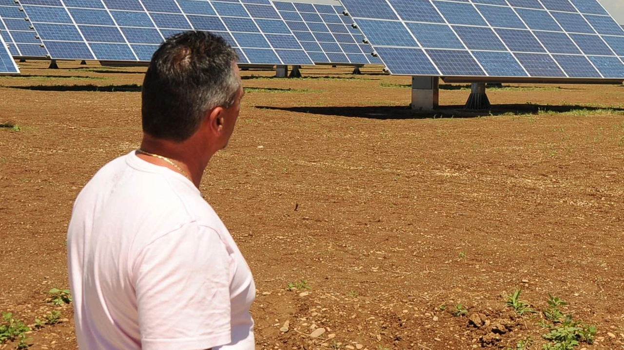Impianto fotovoltaico motivo del contendere tra Calcinaia green e Comune di Calcinaia al Tar Impianto fotovoltaico motivo del contendere tra Calcinaia green e Comune di Calcinaia al Tar