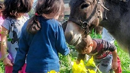Il piccolo borgo riprende vita grazie ai funghi