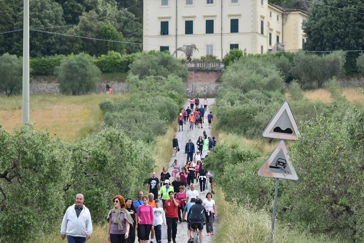 immagine di sfondo 14
