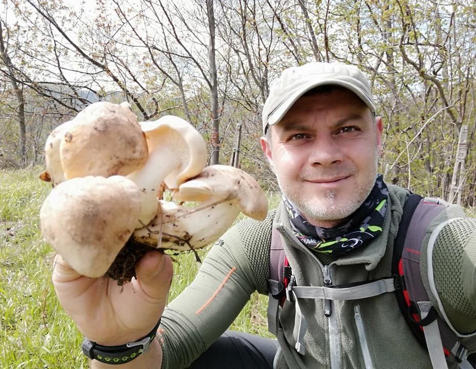 https://www.lanazione.it/image-service/view/acePublic/alias/contentid/ZGNiNWI5MzUtMzRjMS00/0/imparare-a-riconoscere-i-funghi.jpeg?f=1.90:1&w=1200