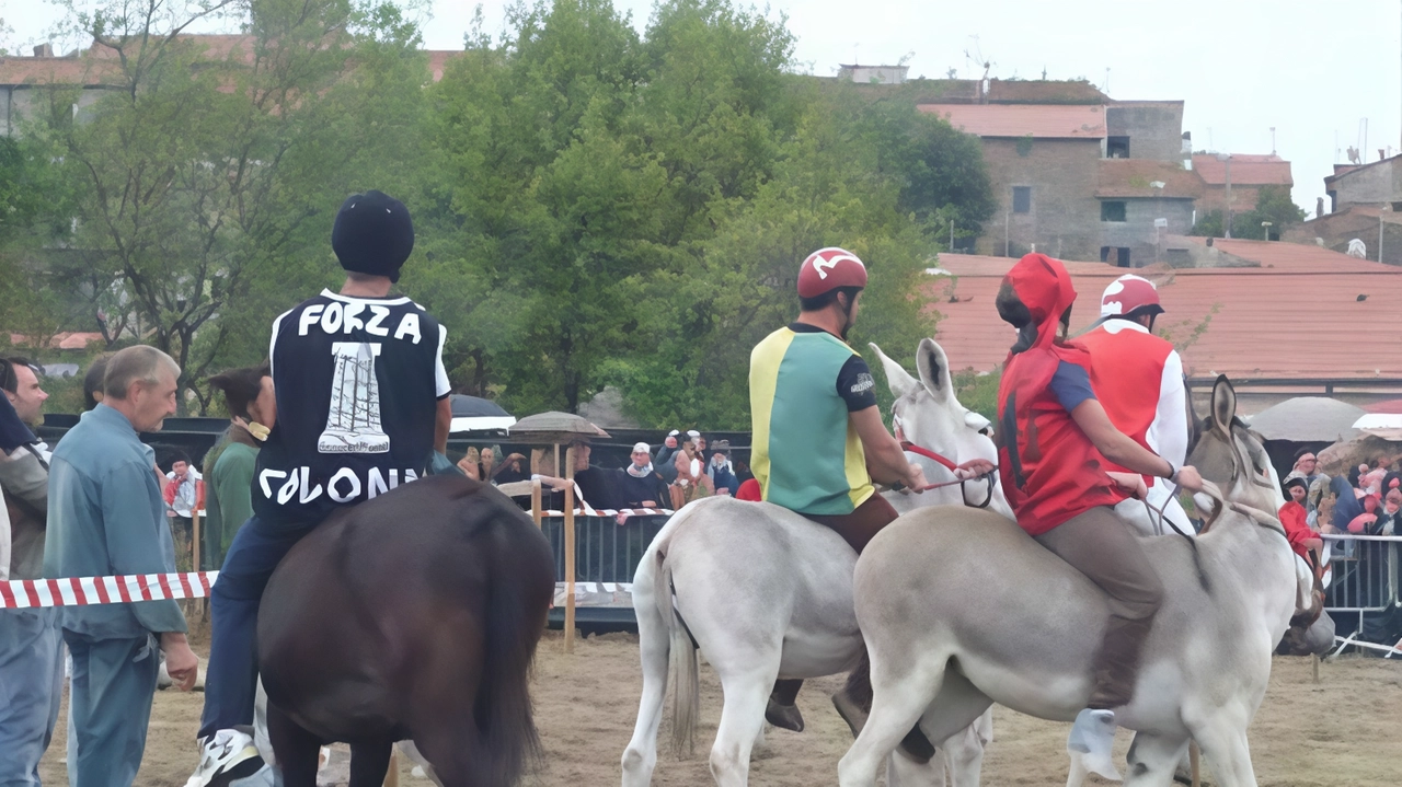 Il "Palio dei Ciuchi" a Vetulonia celebra la sua 72esima edizione con festeggiamenti che riportano agli anni '50. La rievocazione storica e la corsa tra le contrade culmineranno domani con la gara attesa e le premiazioni. Il "Palio dei Ciuchi" a Vetulonia celebra la sua 72esima edizione con festeggiamenti che riportano agli anni '50. La rievocazione storica e la corsa tra le contrade culmineranno domani con la gara attesa e le premiazioni.