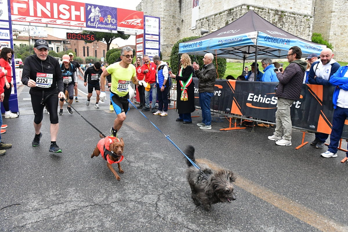 immagine di sfondo 37