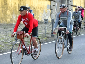 immagine articolo