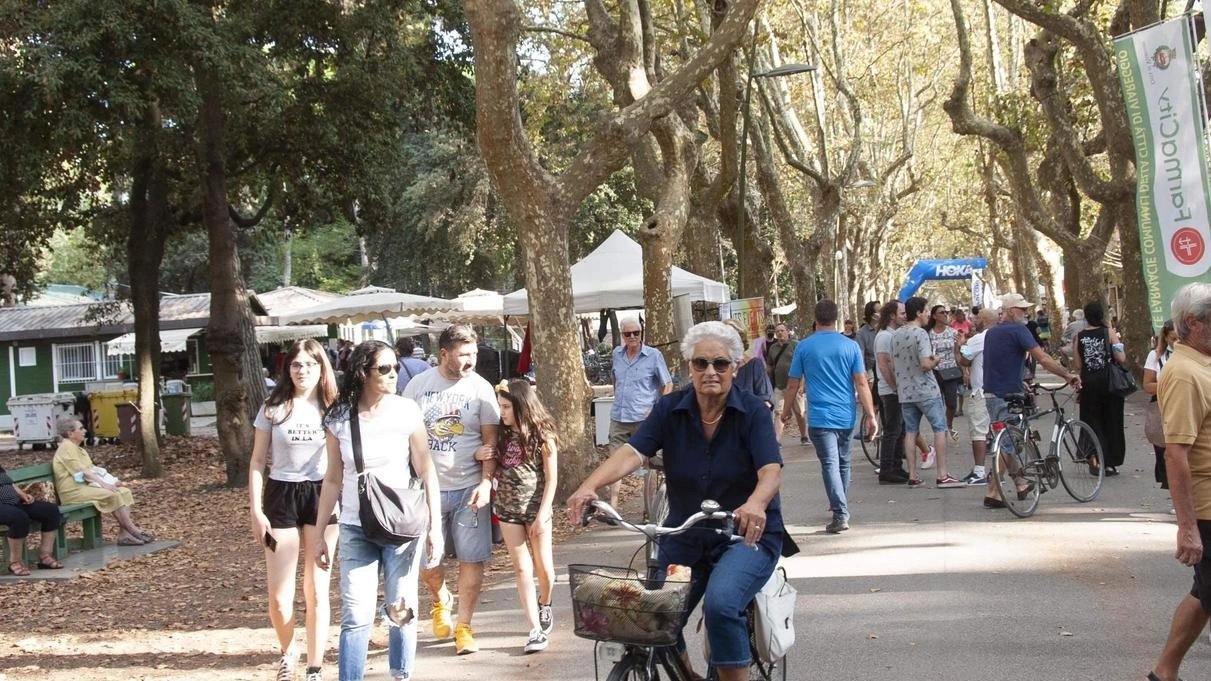Nasce il Festival Green in pineta per un futuro sempre più sostenibile Nasce il Festival Green in pineta per un futuro sempre più sostenibile
