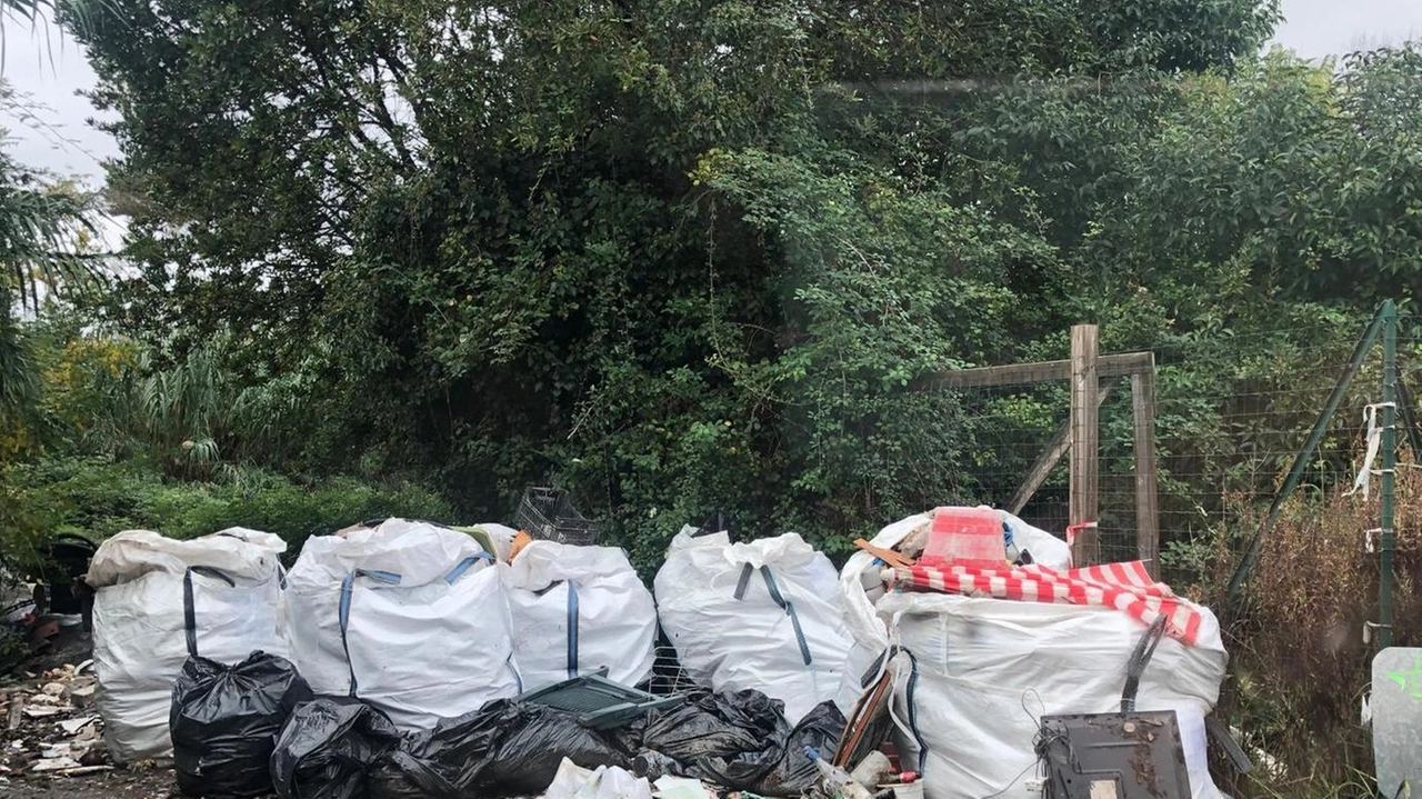 Aumentano i cumuli di spazzatura abbandonati lungo via Marinella, zona. al confine tra i Comuni di Luni e Sarzana Aumentano i cumuli di spazzatura abbandonati lungo via Marinella, zona. al confine tra i Comuni di Luni e Sarzana