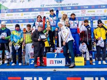 immagine articolo