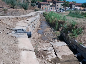 immagine articolo