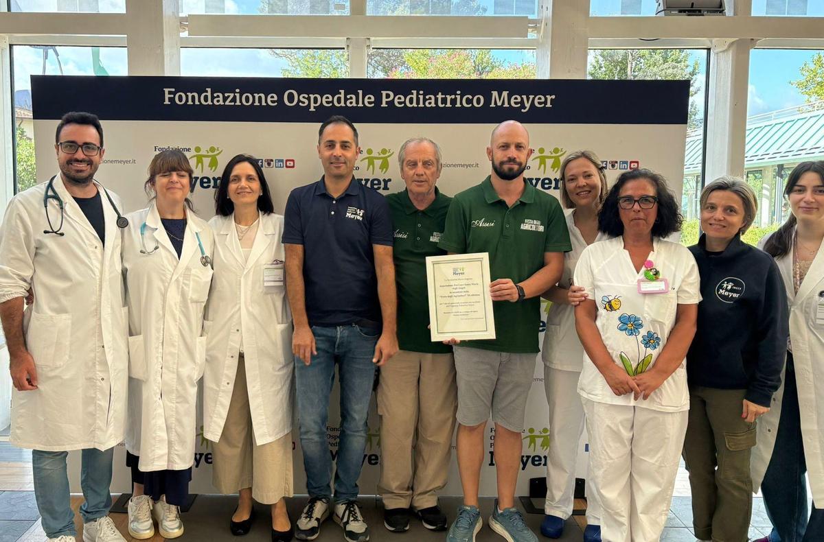 https://www.lanazione.it/image-service/view/acePublic/alias/contentid/ZGQ5ZTg4NDgtY2VkZC00/0/seminare-solidarieta-fondi-per-lospedale-meyer.jpeg?f=1.91:1&w=1200