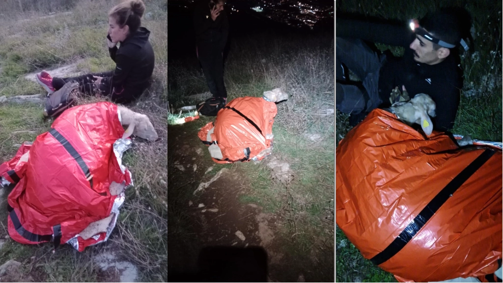 I soccorsi alla pecora ferita