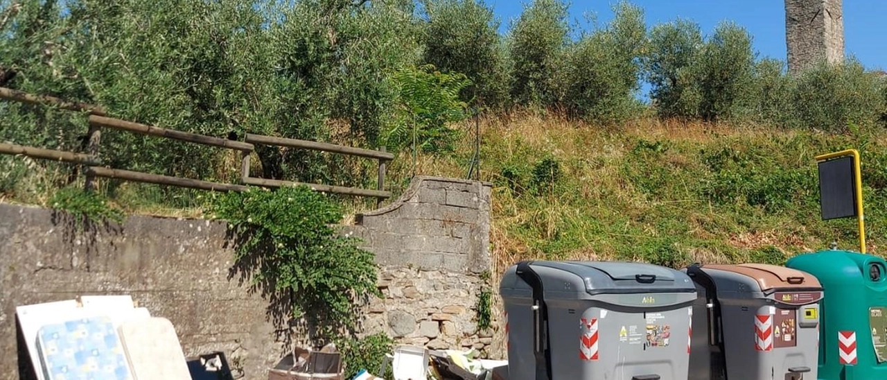 Rifiuti abbandonati. La protesta
