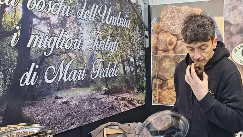 Il trionfo del tartufo, eccellenza in vetrina a Norcia