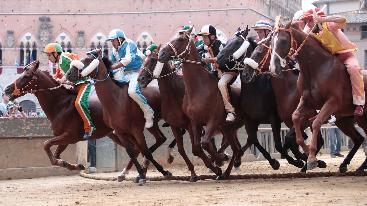 Siena, la provaccia del Palio vinta dal Leocorno. Incognita meteo
