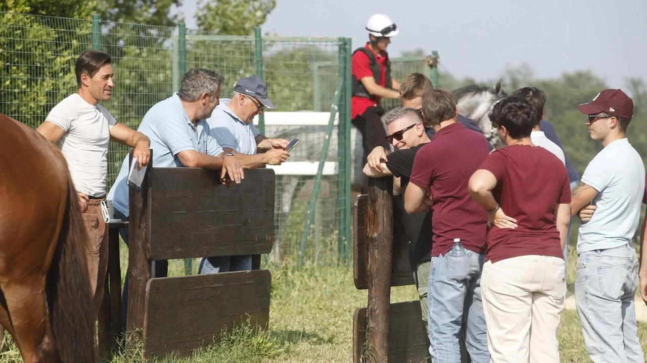 "Tittia andrà a cercare il cavallo, anche con un giubbetto che ha la rivale. Bartoletti nel Bruco? Non lo escludo. Tante strade aperte per Gingillo. Ci sarà qualche debuttante fra Nieddu, Putzu e Giannetti. Se non ora quando?". "Tittia andrà a cercare il cavallo, anche con un giubbetto che ha la rivale. Bartoletti nel Bruco? Non lo escludo. Tante strade aperte per Gingillo. Ci sarà qualche debuttante fra Nieddu, Putzu e Giannetti. Se non ora quando?".